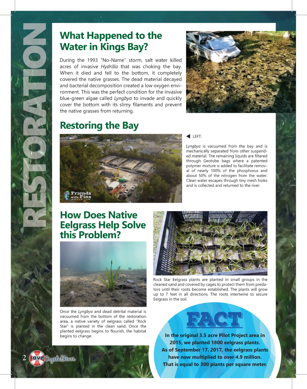 Kings Bay Restoration 2017 Report