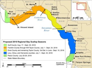 2018 regional bay scallop season