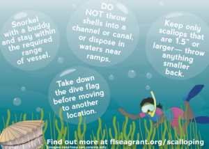 safe scalloping with these best practices