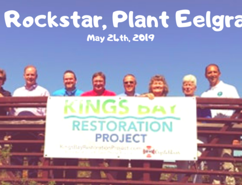 The 3rd Annual “Be a Rockstar, Plant Eelgrass” day
