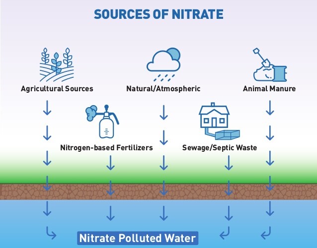Nitrates and pH in Water Quality | Kings Bay Restoration Project