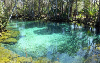 This image displays Three Sisters Springs as discussed in the Walker on the Water post. The spring is a vibrant blue.