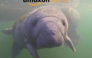 This image on Walker on the Water depicts the partnership between AmazonSmile and Save Crystal River.