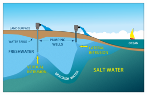 This image on Walker in the Water shows how lateral and vertical saltwater intrusion occur.