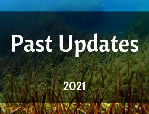Past Updates 2021