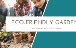 Eco-Friendly Gardens
